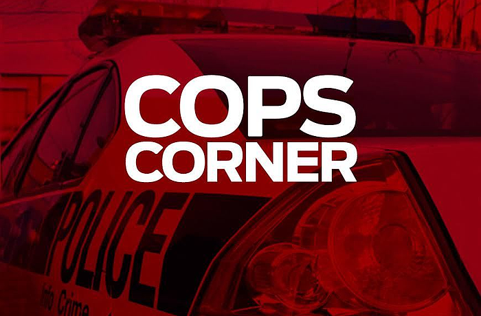 Golfing with dogs prompts police response on Longboat Key