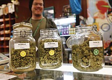 APRIL FOOL: 'Schools of Dope' campus envisioned in Sarasota