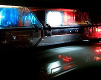 Pills, pistols found in Sarasota stolen car stop