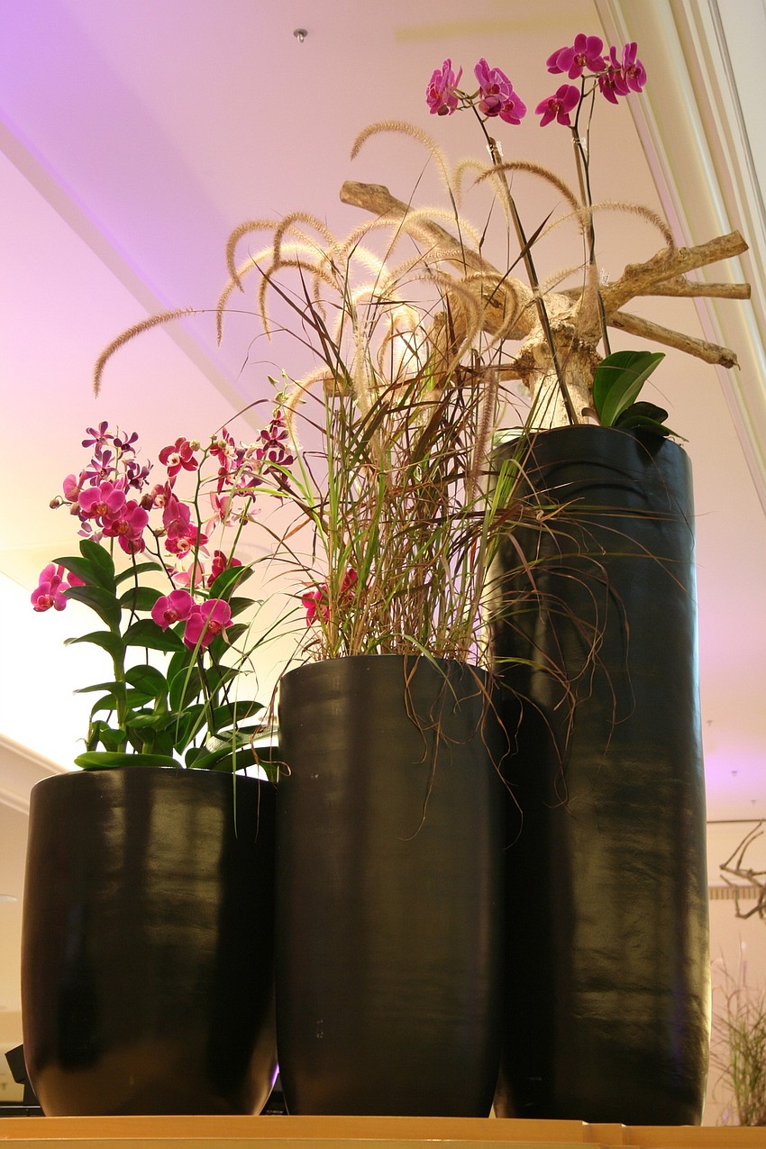 Black Tie Bash painted Saks Fifth Avenue purple