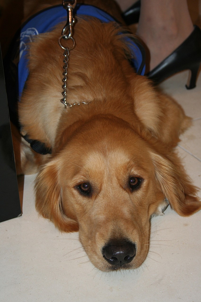 Southeastern Guide Dogs made an appearance