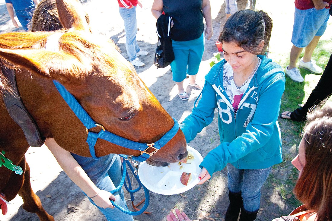 Marissa Pereira feeds apples to the horses during the fall festival.PHOTOS BY SHANNA FORTIER