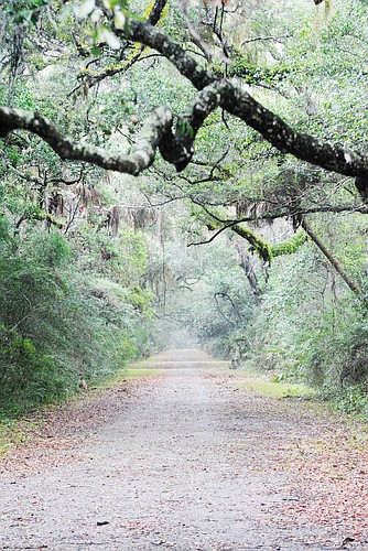Washington Oaks Gardens State Park spreads across  425 acres and could be closed down by the state because of budget cuts. COURTESY PHOTO BY CLAY HENDERSON