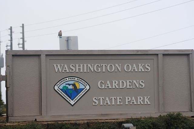 Washington Oaks Gardens State Park drew nearly 60,000 visitors last year. PHOTO COURTESY CLAY HENDERSON