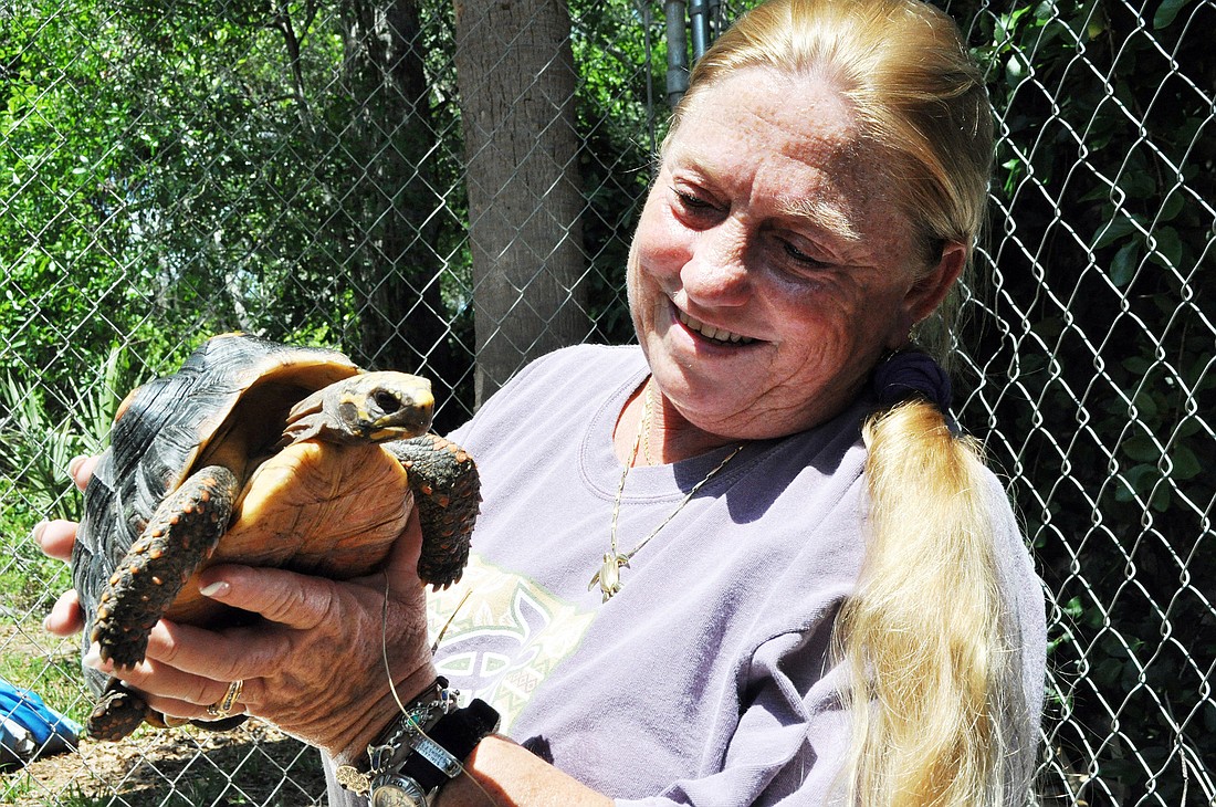 Lori Ottlein shows off one of her five tortoises. PHOTOS BY SHANNA FORTIER