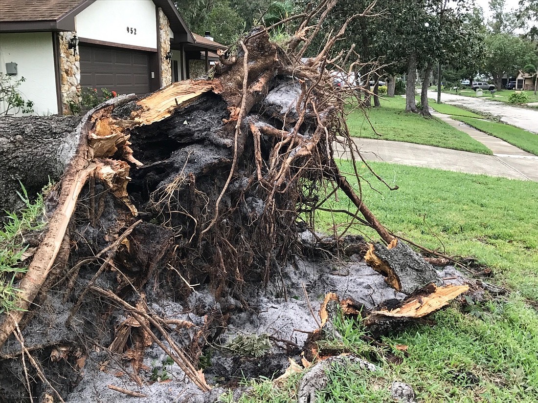 Port Orange residents may now apply for FEMA assistance. Photo courtesy of Janice Ramos