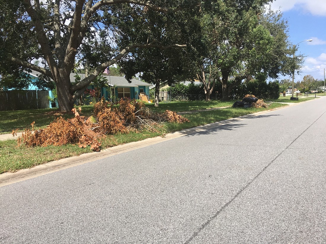 Debris lines a neighborhood street in Port Orange. Photo by Nichole Osinski
