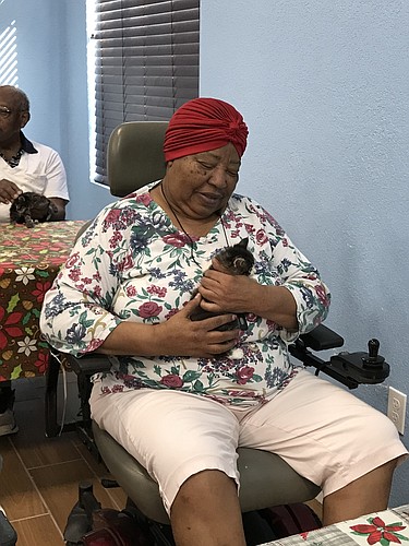 A resident at an assisted living facility holds a cat used for pet therapy. Photo courtesy of Jan Wenger