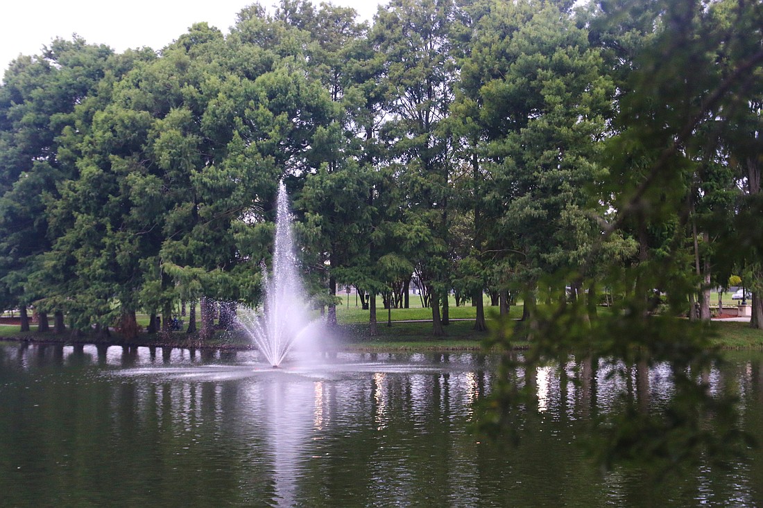 The wooded view from the Port Orange City Hall. Photo by Jarleene Almenas