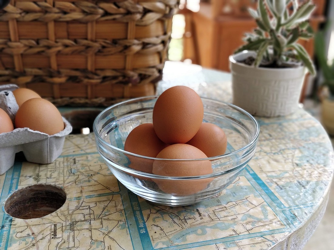 Residents said fresh eggs are among the reasons why they've enjoyed keeping chickens in their backyards. Photo by Lurvin Fernandez