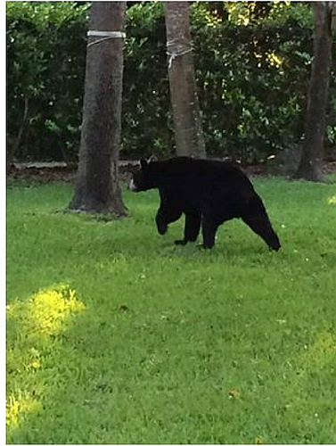 Screen Shot 2014-06-19 at 9.50.47 AM