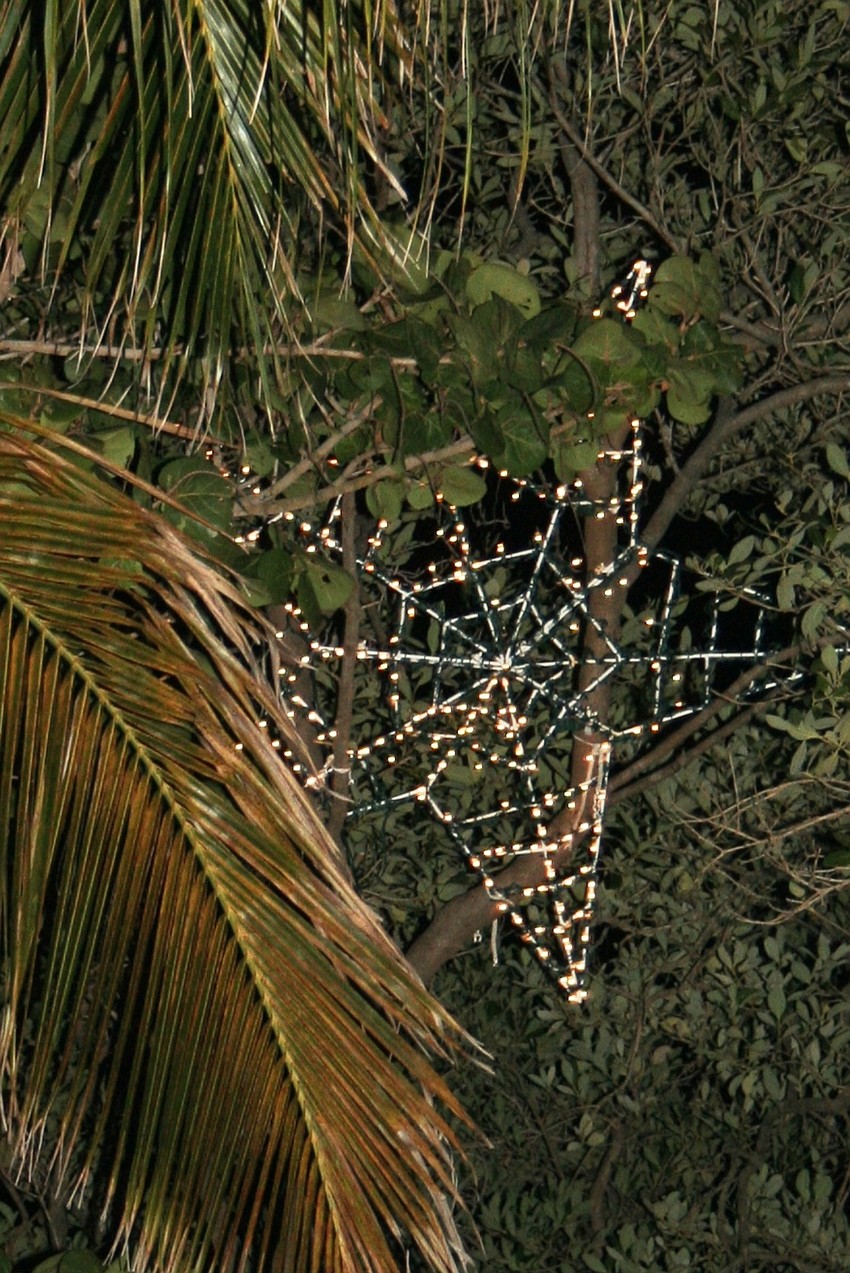 Twinkle, twinkle little star