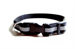 dog-collar-web-300x198
