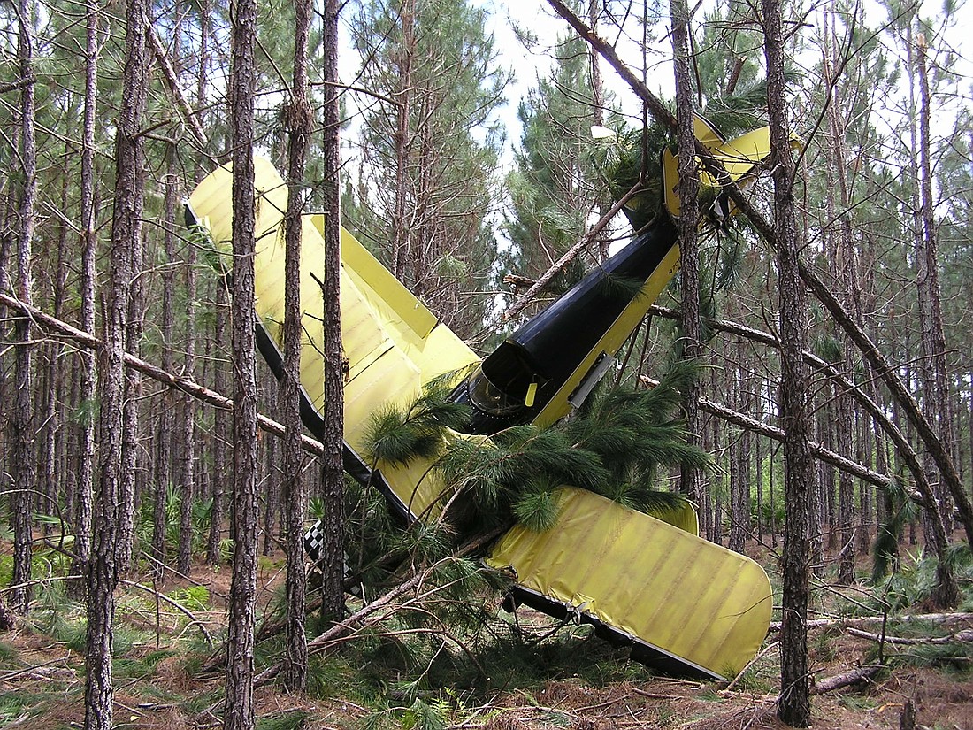 The single-engine, two-passenger biplane crash-landed in the treetops.