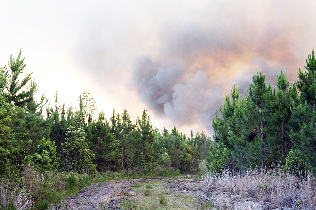 The wildfire near southern U.S. 1 is one of 15 wildfires in Flagler County.