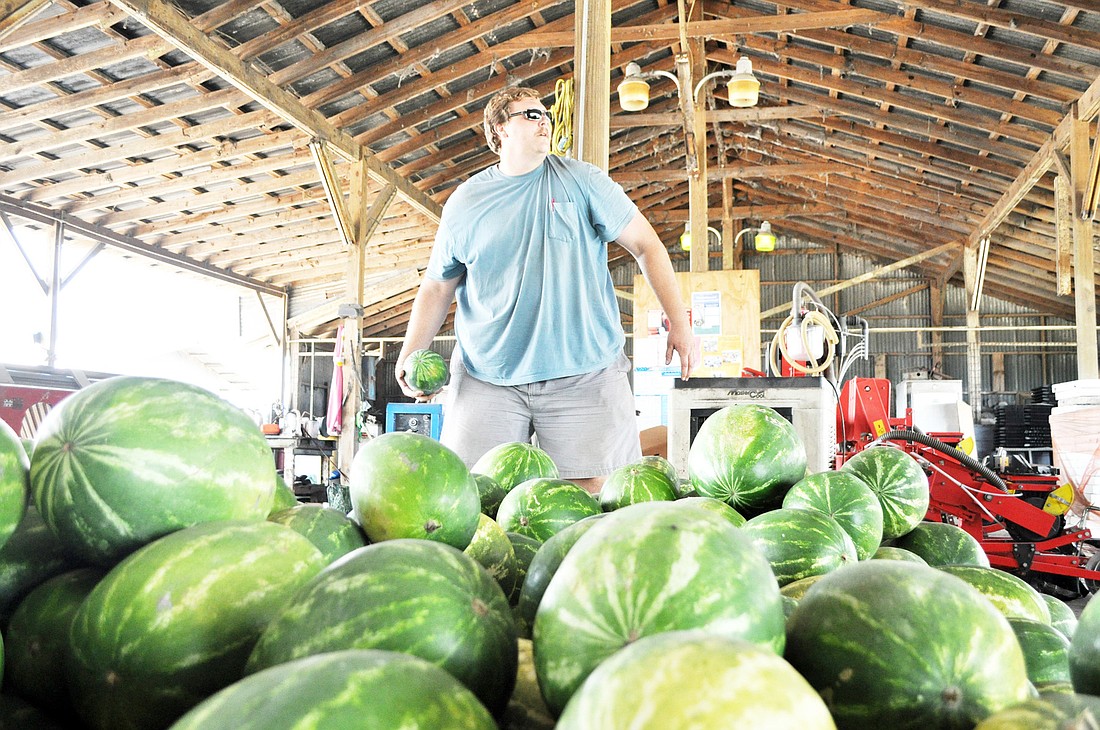 T.J. Bratcher has owned and managed Flagler CountyÃ¢â‚¬â„¢s Bratcher Farms Produce for 17 years. PHOTOS BY SHANNA FORTIER