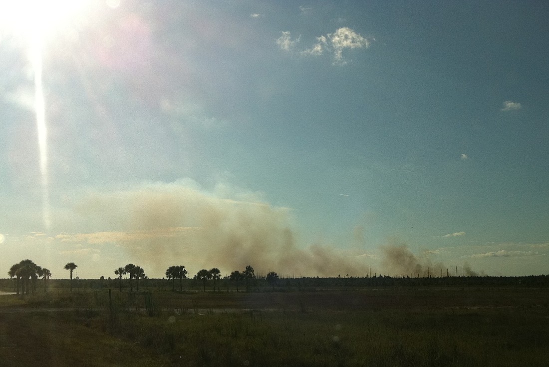 New fires continue to break out daily in Flagler County.