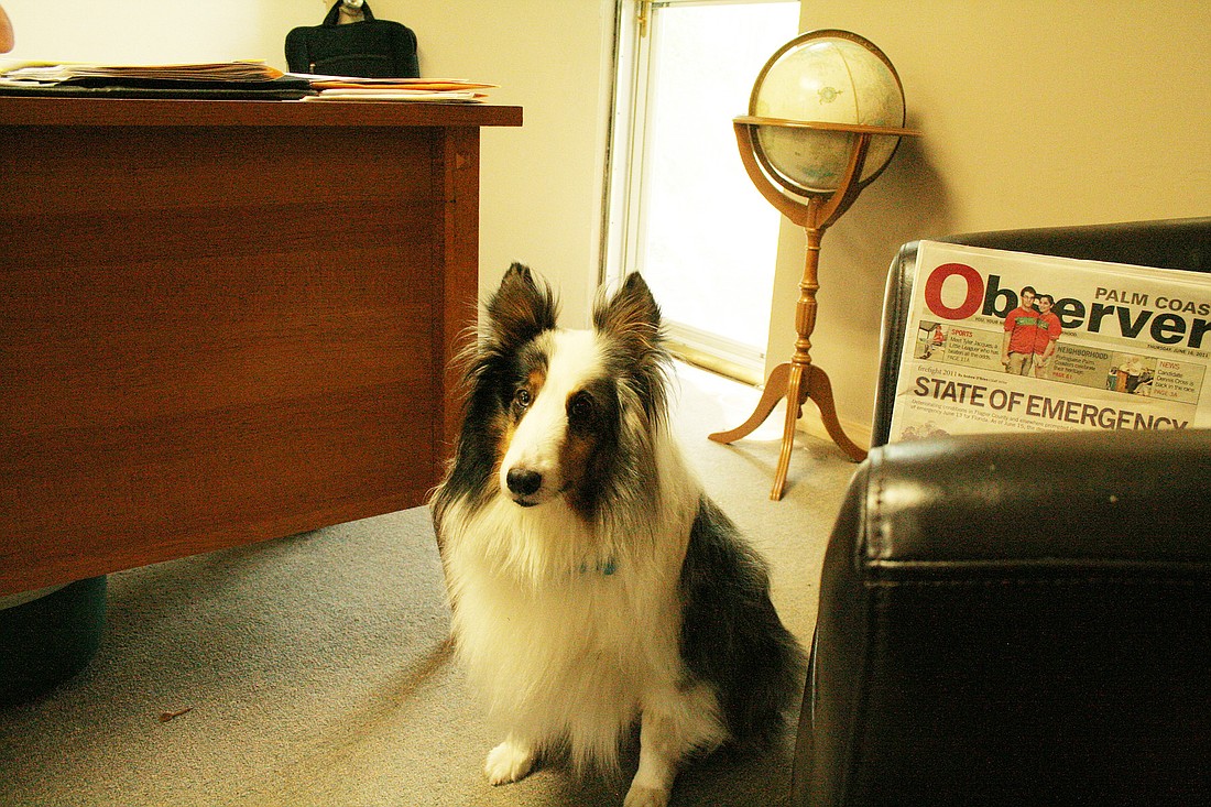 Associate Publisher Nanook makes an appearance at The Observer office daily.
