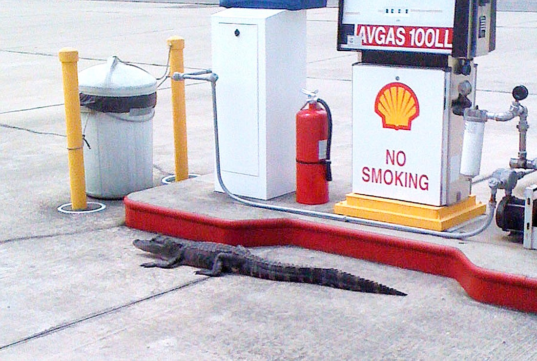 According to Flagler County spokesman Carl Laundrie, airport attendants had trouble finding the gas cap on this customer. COURTESY PHOTO