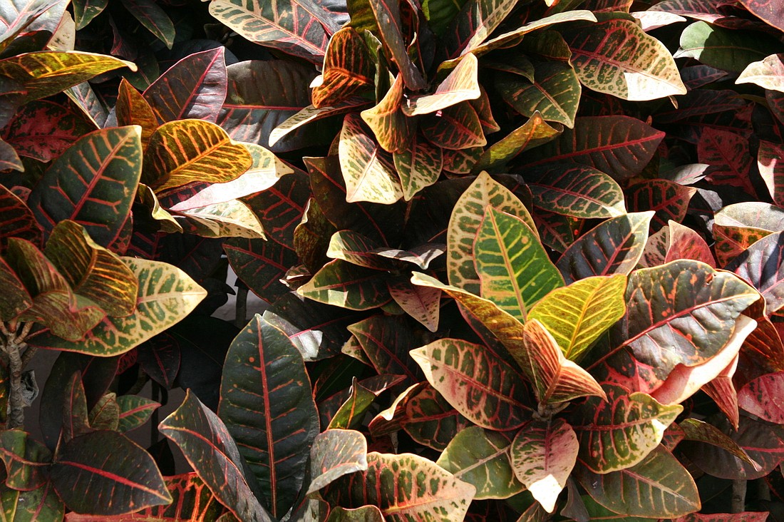 Austin Outdoors has four district locations in Florida: the southeast, northeast, central and east central.