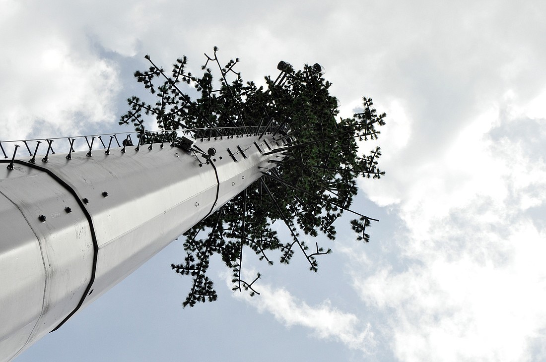 There are more than 80 stealth cell sites in Florida, including 40 in Northern Florida, which are made to look like things such as trees, flag poles and steeples. PHOTO BY SHANNA FORTIER