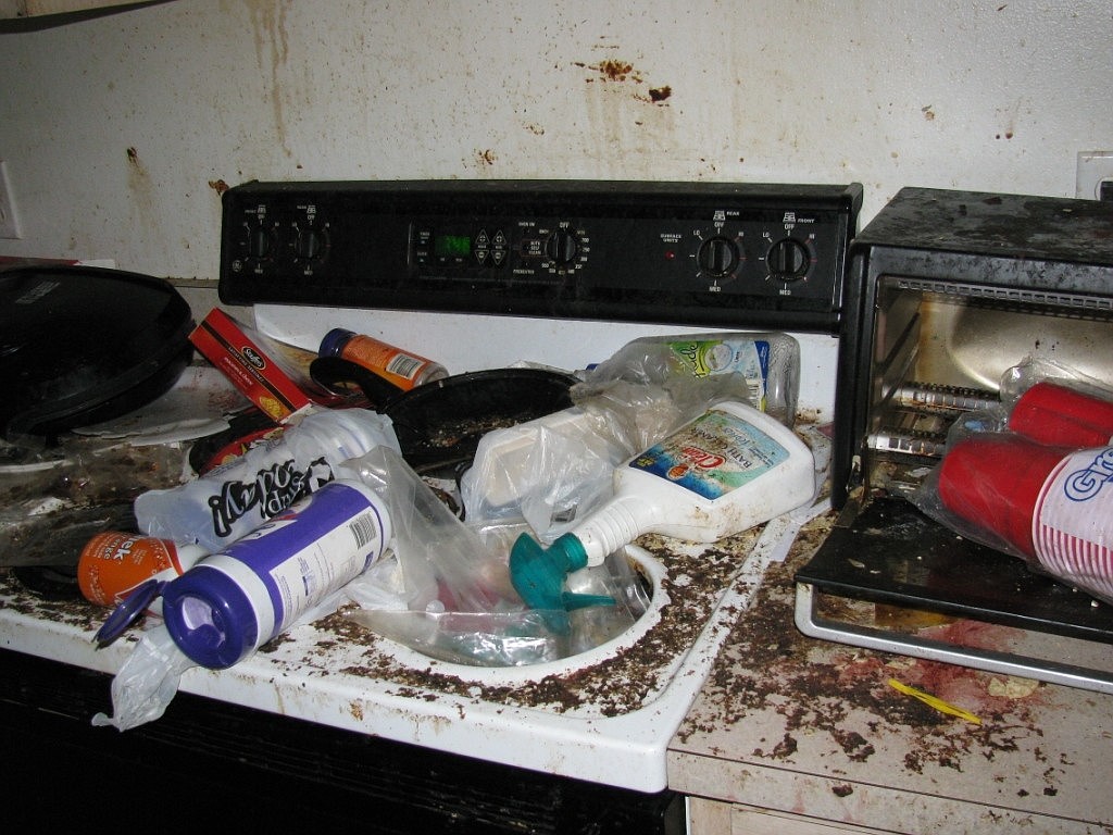 An investigator with Flagler County Animal Control Services removed six dogs, 22 cats, two ferrets and a rabbit from the residence, according to officials.