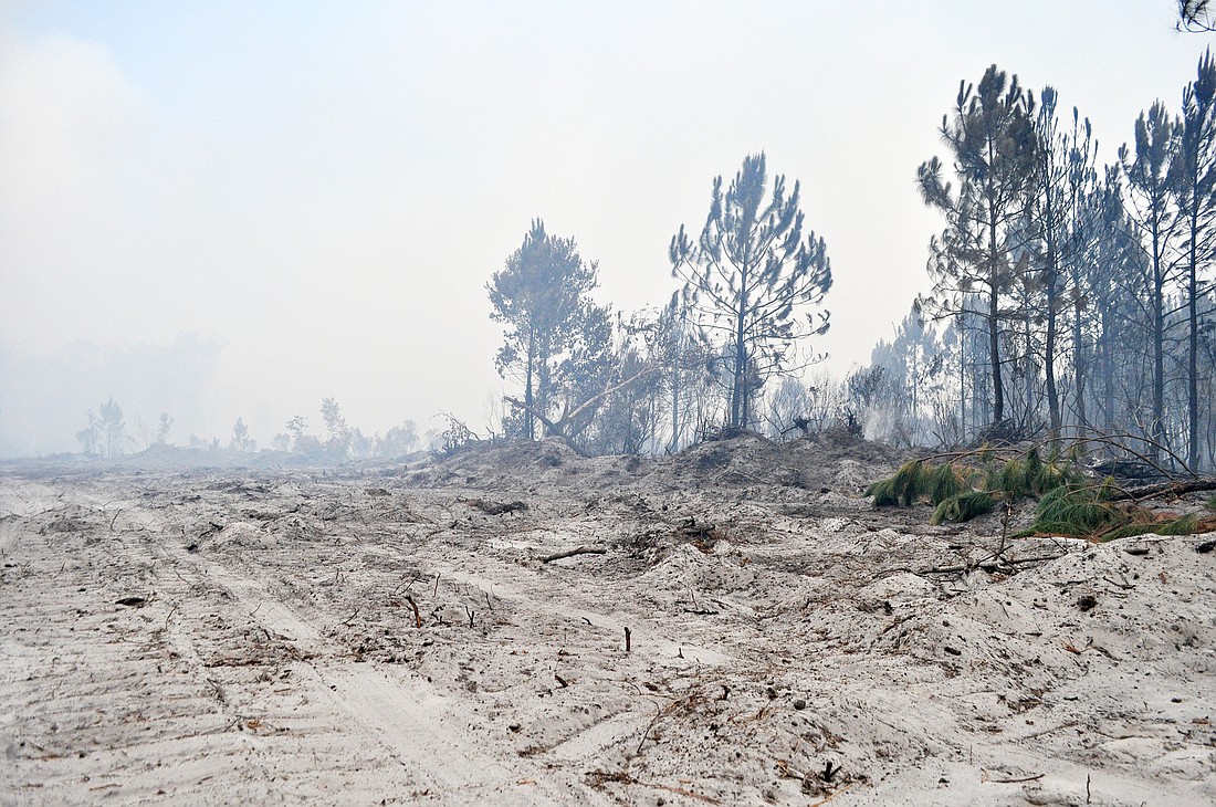 The Espanola fire, which started on May 30, is now extinguished. FILE PHOTO BY SHANNA FORTIER