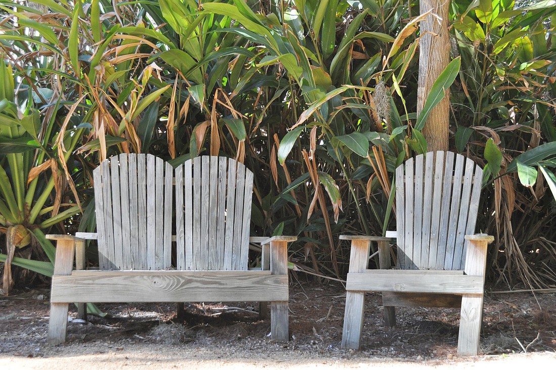 Educational interpretative panels have been designed and will be installed at key sites within the Washington Oaks Historic District.