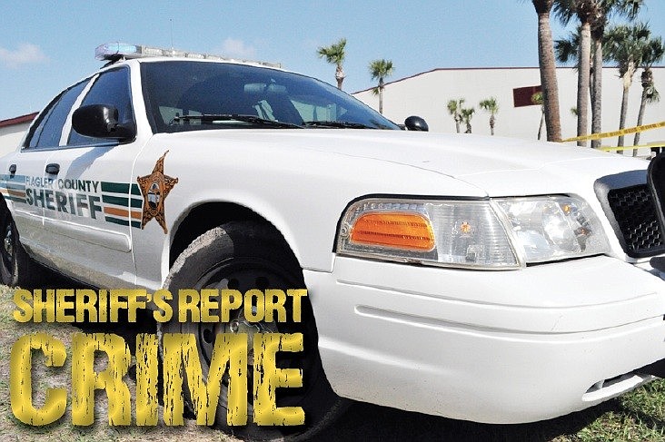 The booking report is provided by the Flagler County Sheriff's Office.