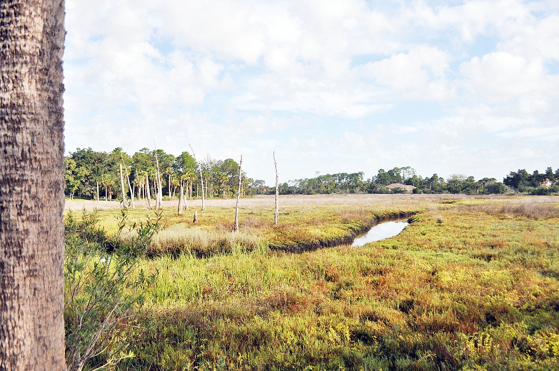 The Long Creek nature preserve project will bring an educational aspect to the Long Landing Estuary. Photo by Shanna Fortier