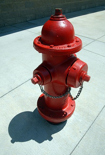 The Palm Coast City Council decided not to seek back payments for fire hydrant fees for residents outside of Palm Coast city limits.