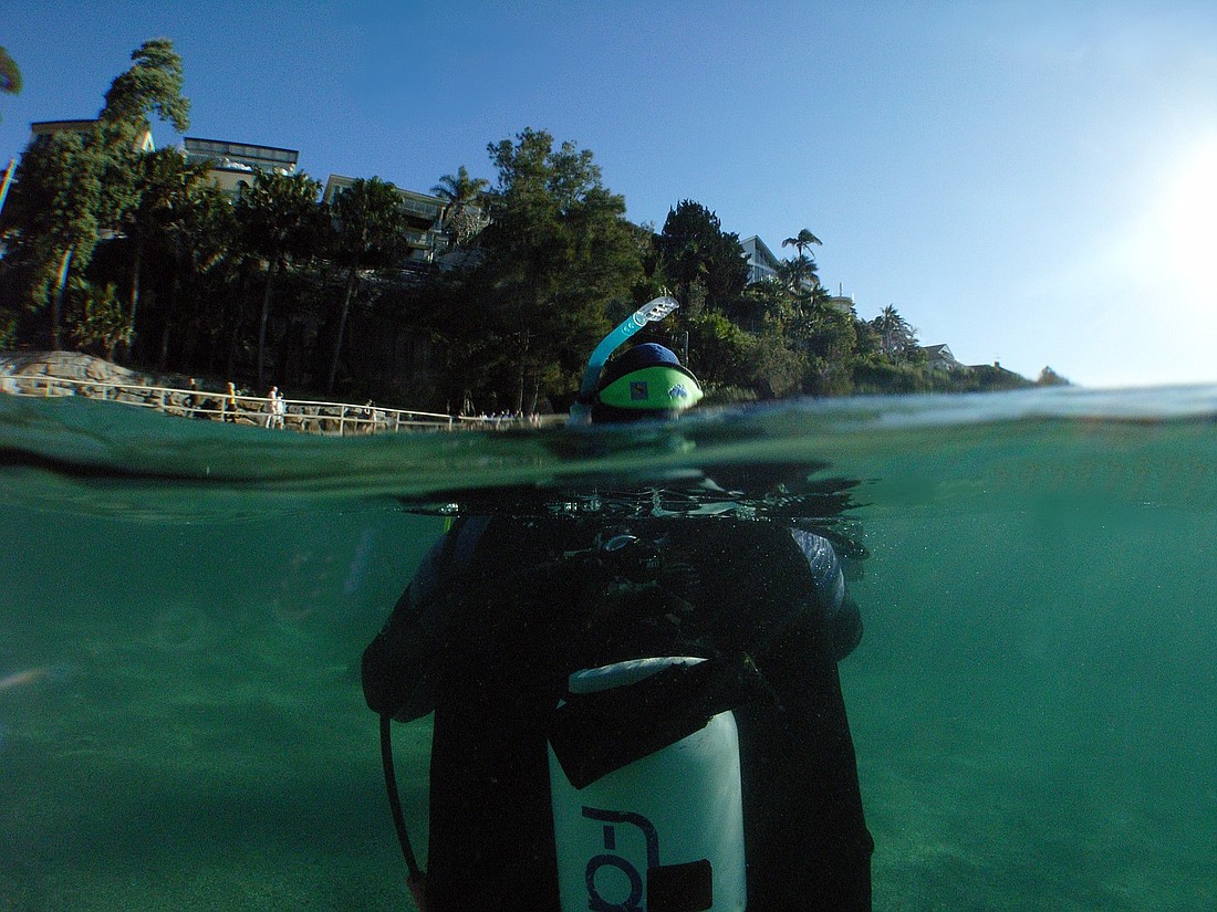 Palm Coast Mayor Jon Netts thinks helping fund the county's dive team should be a countywide effort, and the City Council shouldn't have to foot the bill.