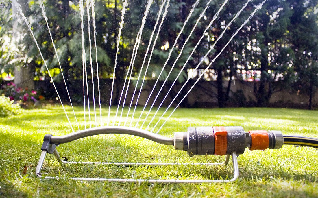 Restrictions and exceptions can be found on the city of Palm Coast website at www.palmcoastgov.com.