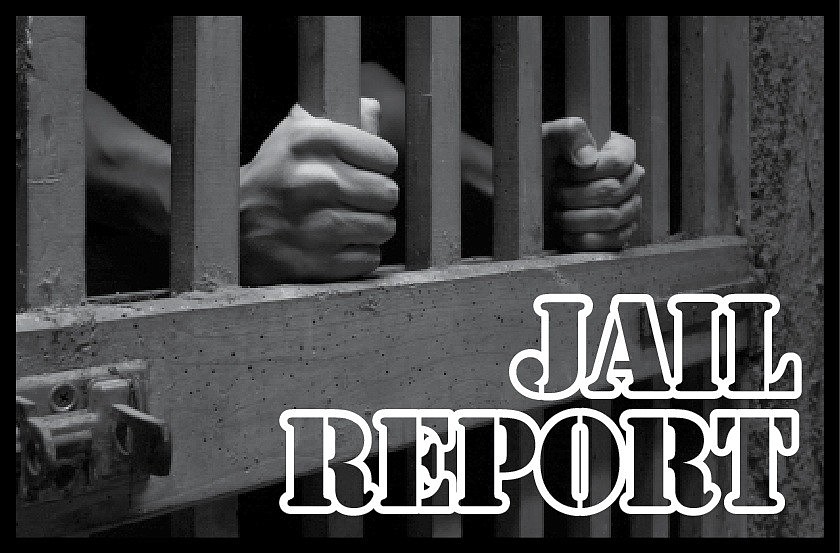 The booking report is provided by the Flagler County Sheriff's Office.