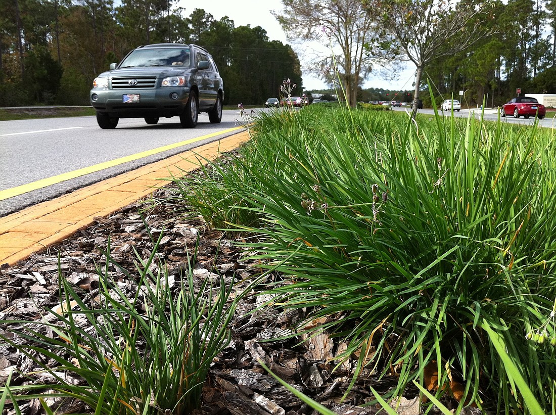 The city spent $69,418.02 for landscaping and irrigation for the median area between Parkview Drive and Whiteview Parkway, on Belle Terre. BRIAN MCMILLAN