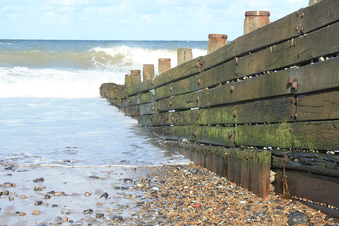 Will incorporating another government group speed the study up or slow it down, commissioners wondered.