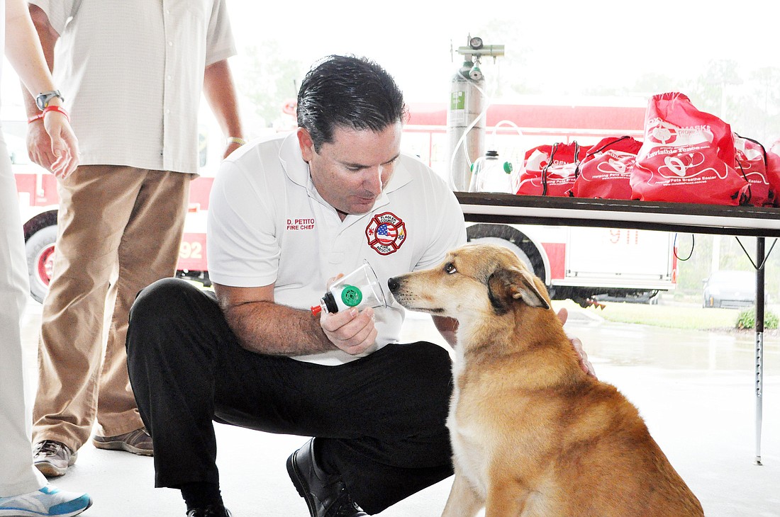 Flagler County Fire Chief Don Petito demonstrates the pet oxygen mask on Zorra, a border collie, huskie mix.