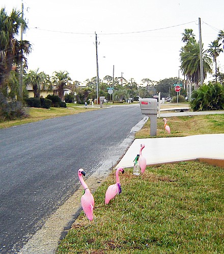 Plastic pink flamingos have invaded Clarendon Court North. COURTESY PHOTO