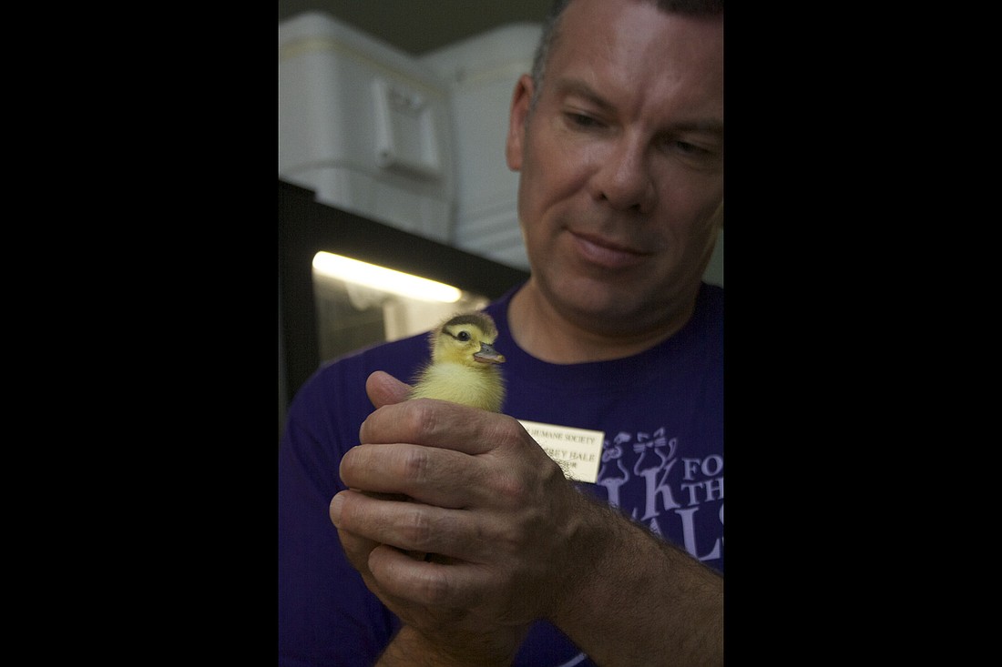 Jef Hale said the primary reason he was fired was because the financial health of the organization was weak.