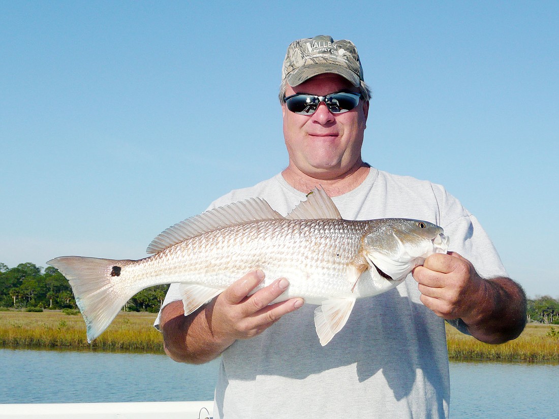 Bruce Hedetniemi caught this 26-inch redfish in the Pellicer Flats, using Berkley Gulp.