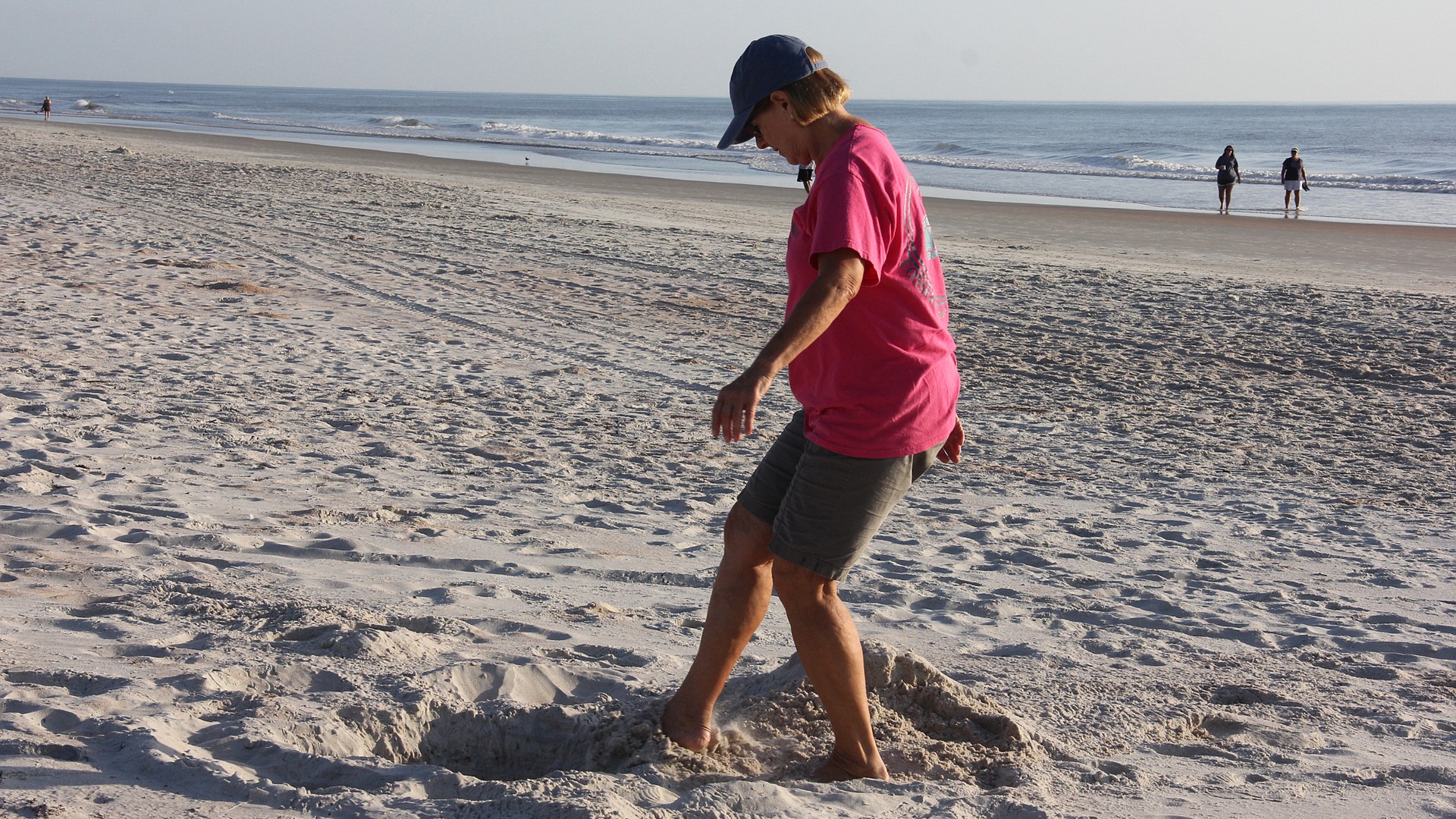 Kemp’s Ridley turtles making early appearance on Volusia beaches ...