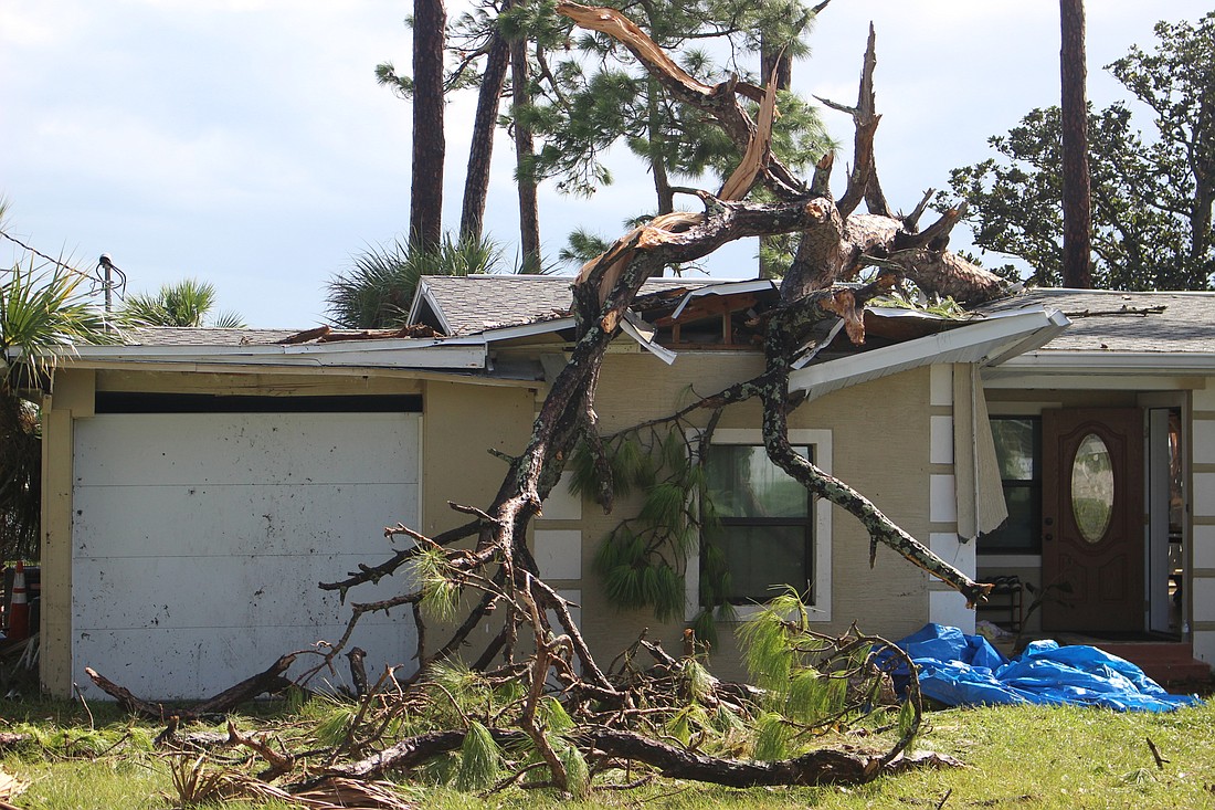  Hurricane Irma caused a tree to fall on a house on the 300 block of N. Beach Street. Photo by Jarleene Almenas