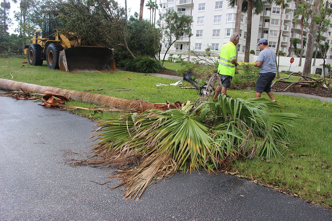 City employees work to clear Fortunato Park after Hurricane Irma on Sept. 12. Photo by Jarleene Almenas