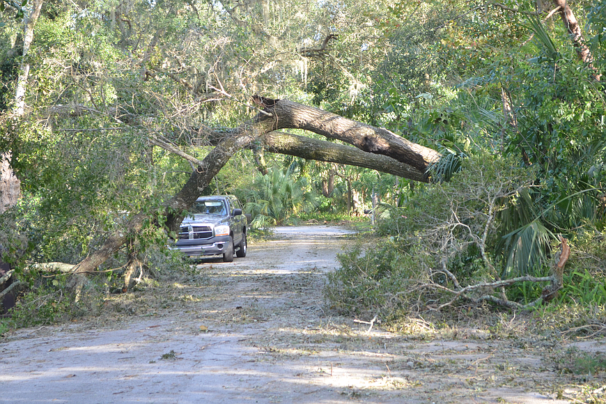 Debris in the aftermath of Hurricane Matthew. Photo by Wayne Grant