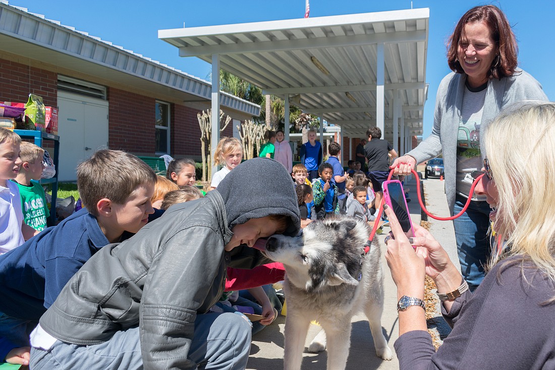Juno the husky thanks students with kisses for the donations at Cypress Creek Elementary. Photo by Kaitlin Sargent.