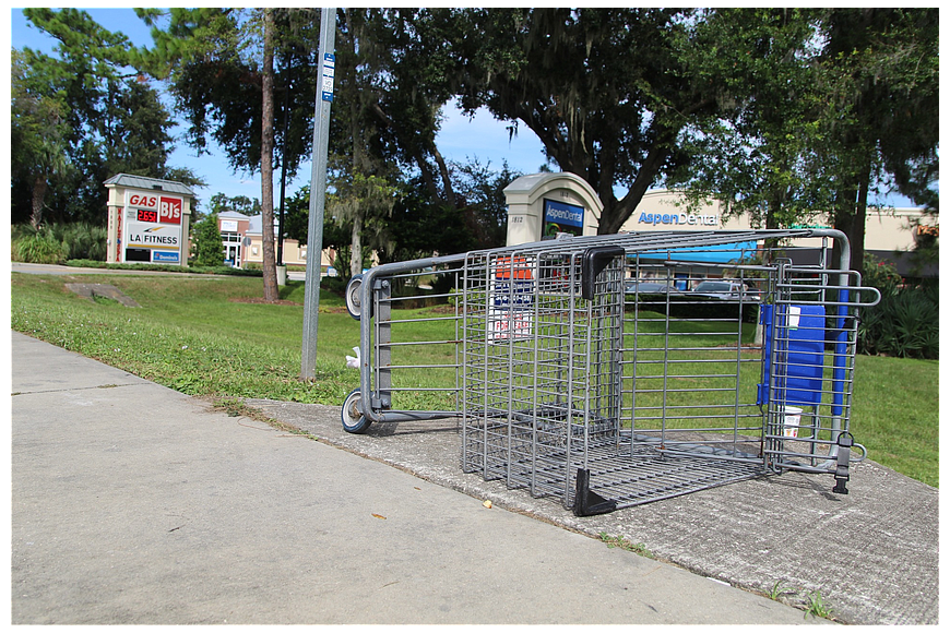 Port Orange Police made an arrest for possession of a stolen shopping cart. Photo by Tanya Russo