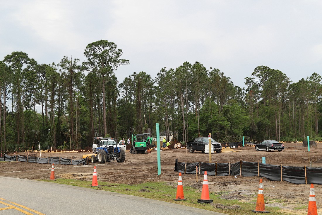 Development along Summer Trees Road and Williamson Boulevard. Developers would pay into tree mitigation bank for tree removal. Photo by Tanya Russo.