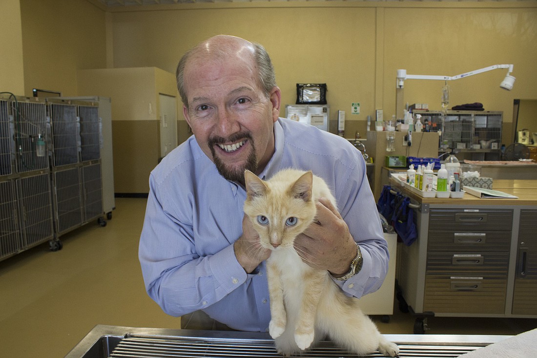 Neil MacGinnis and his feline counterpart, Dexter will be just two of the faces you'll see if you visit the Animal Emergency Hospital Volusia(Photo by Emily Blackwood).