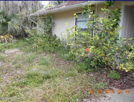 New codes state that vegetation cannot cover the windows of 'zombie' houses.Courtesy photo
