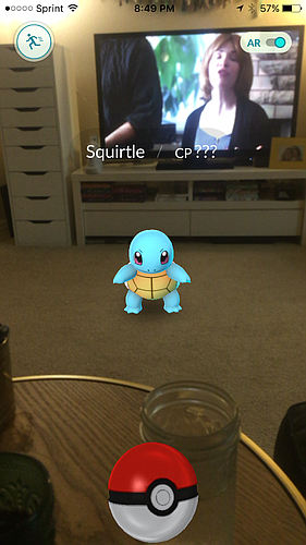 There was a super cute Squirtle in my living room last night.